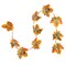Northlight LED Maple Leaves Fall Harvest Micro Fairy Light Set - 4' Brown Wire - 10ct